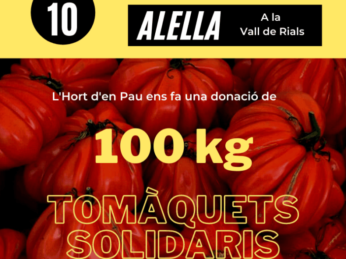 recollida-tomàquets-solidaris